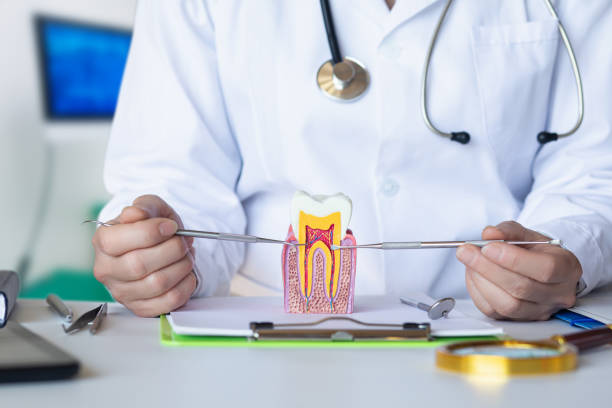 Best Dentist for Severe Toothache  in Yoe, PA